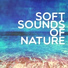Soundtrack Tools SFX, World Noise