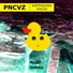 PNCVZ