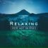 Calming Music Ensemble