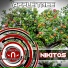 Nikitos