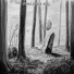 Forest Of Fog