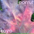 Norrut