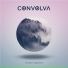 Convolva