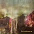Prudence
