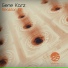 Gene Karz