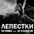 KLIP SPRINGER feat. Все педали в пол