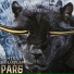 Pars