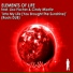 Elements of Life Feat. Lisa Fischer