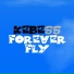 MaxFly