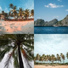 Cheerful Tropical Christmas