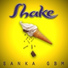 Sanka GBM