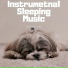 Instrumental Sleeping Music