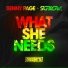 Benny Page, Sublow HZ