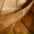 Trinodia