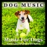 Dog Music