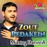 Mumtaz Darwesh