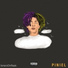 P I N I E L