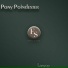 Pony Poindexter