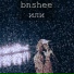 bnshee