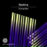 Djsakisp