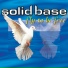 Solid Base
