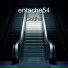 entache54