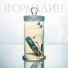 ФЭЛТ