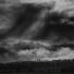 Rain Recorders, Wave Sound Group, ambiente