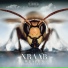 XRAAB