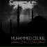 Muhammed Çelikel