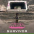 Murs