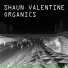 Shaun Valentine