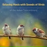 Bird Sounds