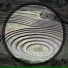 Ghoti