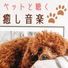 犬猫ヘルパー