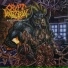 Crypt Infection