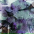 Indigo Mist, Cuong Vu, Richard Karpen