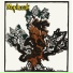 Mapleoak