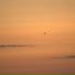 ThroughTheSpace, AMOR