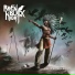 Raven Black Night