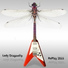 Lady DragonFly