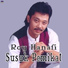 Roy Hanafi