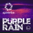 Spintribe