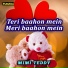 Mimi Teddy