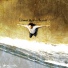 Renaud Papillon Paravel