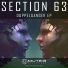 Section 63 feat. Bassinfected