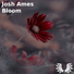 Josh Ames