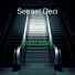 Senaet Deci