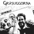 Gråsuggorna