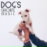 Pet Music Academy